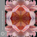 Steve Brand - Our True Nature Steve Brand - Our True Nature